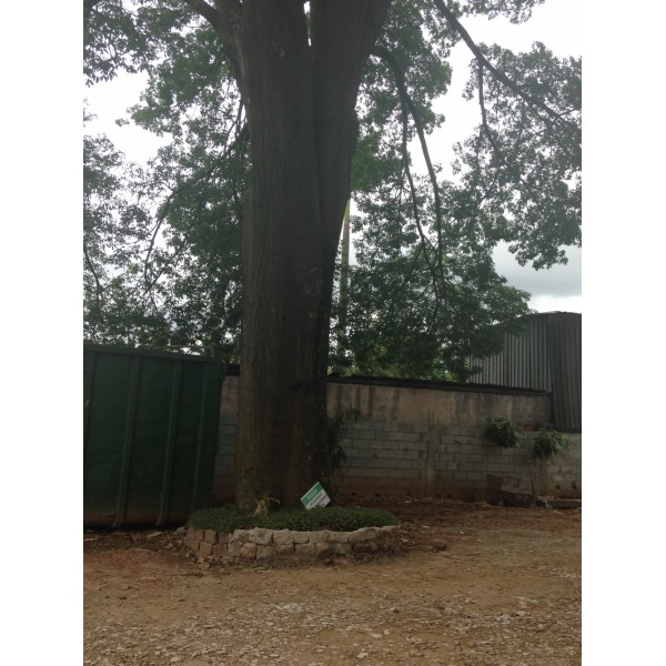 Serviços de Locações de Caçambas para Entulho para Obra no Bairro Casa Branca - Caçambas para Entulho